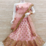 Trendy Baby Pink Net Embroidery Work Lehenga